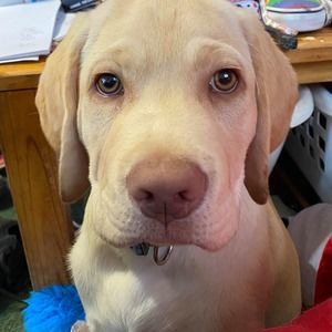 Meet your Posher, Janelle